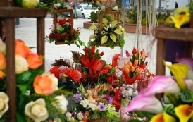 kiermasz_W_2418