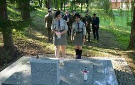 dwp_11