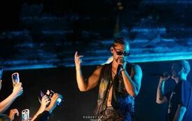 lbc_flow_siles_51