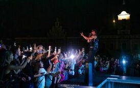 lbc_flow_siles_45