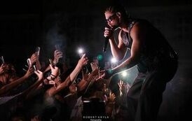 lbc_flow_siles_43