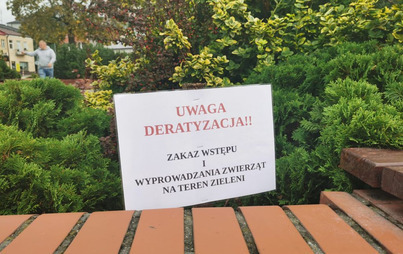 Zdjęcie do Uwaga na tereny zieleni na Rynku. Rozpoczęła się deratyzacja